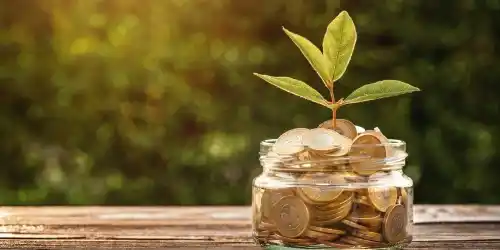 Planta creciendo sobre frasco con monedas simbolizando seguro dotal y ahorro - Grupo Encino